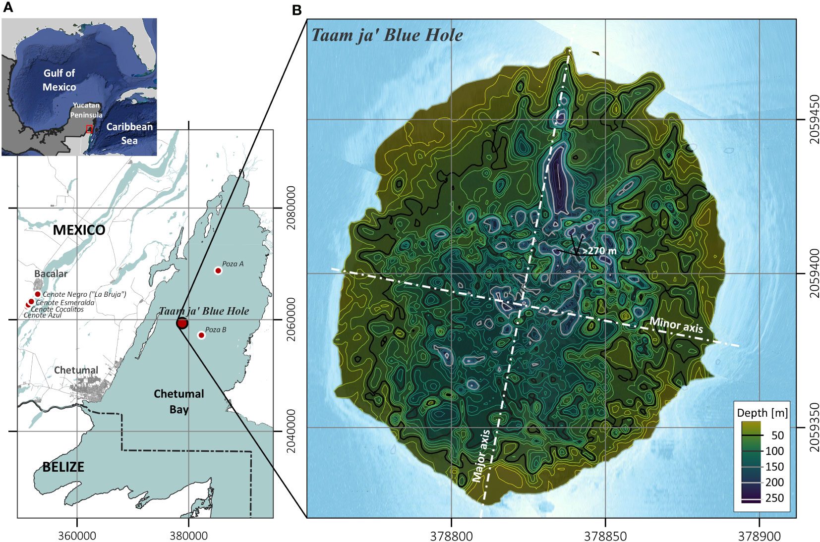 Le trou bleu récemment découvert au large du Mexique est le deuxième plus profond au monde 3 Localisation et caractéristiques du Taam ja' Blue Hole, TJBH, le nouveau trou bleu découvert dans la baie de Chetumal, Mexique / Crédit : Frontiers in Marine Science