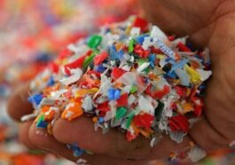 Les microplastiques peuvent envahir le cerveau en 2 heures