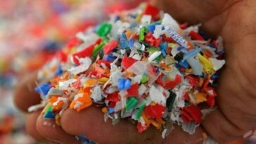 Les microplastiques peuvent envahir le cerveau en 2 heures