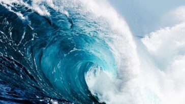 SeaChange est une nouvelle technologie conçue pour capturer le dioxyde de carbone à l'aide de l'eau de mer 2 SeaChange is a new technology designed to capture carbon dioxide using ocean water