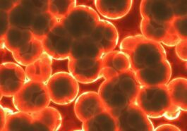 Plus de 30 000 nouveaux virus ont été découverts : leur ADN s'insère dans celui des cellules hôtes