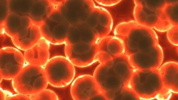 Plus de 30 000 nouveaux virus ont été découverts : leur ADN s'insère dans celui des cellules hôtes
