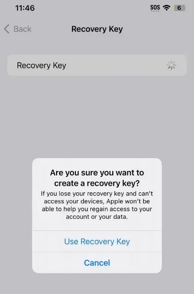 La fonction de sécurité de l'iPhone peut rendre votre téléphone inutilisable pour toujours 3 iPhone