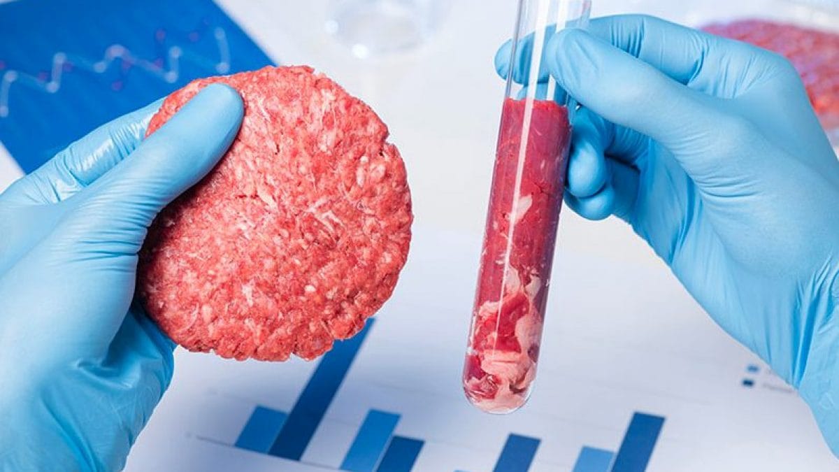 Les États-Unis interdisent la viande cultivée : les raisons derrière cette décision 2 Image
