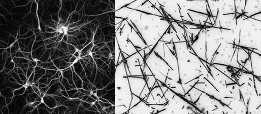 L'avenir de l'IA : les réseaux de nanofils apprennent et pensent comme des humains 3 réseau de nanofils