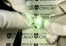 Les chercheurs ont créé un écran OLED extrêmement flexible extensible jusqu'à deux fois sa taille 32 Researchers made an extremely flexible OLED display stretchable to twice its size