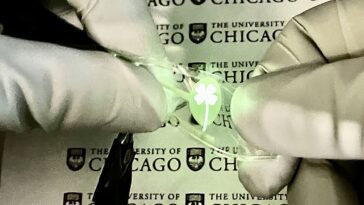 Les chercheurs ont créé un écran OLED extrêmement flexible extensible jusqu'à deux fois sa taille 7 Researchers made an extremely flexible OLED display stretchable to twice its size
