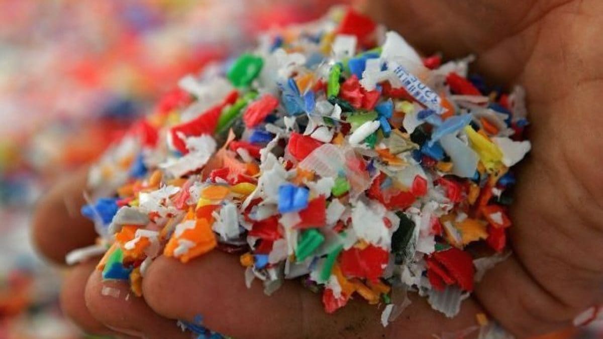 Les microplastiques peuvent envahir le cerveau en 2 heures 2 Les microplastiques peuvent envahir le cerveau en 2 heures