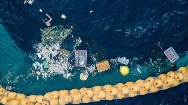 L'île de plastique dans le Pacifique est maintenant si grande et persistante qu'elle abrite des animaux côtiers 1 Credit: The Ocean Cleanup Foundation