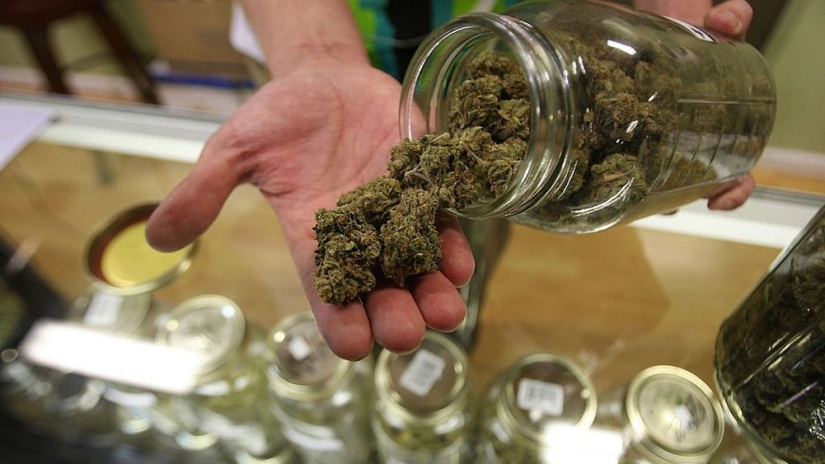 Nous savons maintenant ce qui se passe lorsque de fortes doses de THC sont consommées 2 Nous savons maintenant ce qui se passe lorsque de fortes