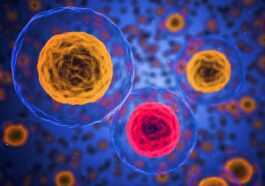 Pourquoi le cancer est un ennemi si difficile à vaincre : "Capacité d'évolution presque infinie"