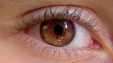 À travers les yeux, on peut comprendre si une personne est déprimée : ils sont le véritable miroir de l'âme 15 Immagine