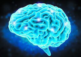 L'effet placebo pendant votre parcours de santé et comment les entreprises en profitent 56 Cerveau Effet Placebo
