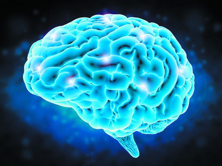 L'effet placebo pendant votre parcours de santé et comment les entreprises en profitent 1 Cerveau Effet Placebo