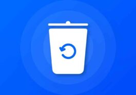 Recycle Bin