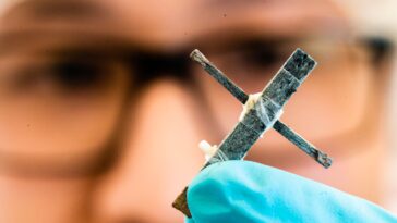 Des scientifiques créent un transistor en bois qui tourne à environ 1 Hz 12 Scientists create wood transistor that runs at about 1Hz