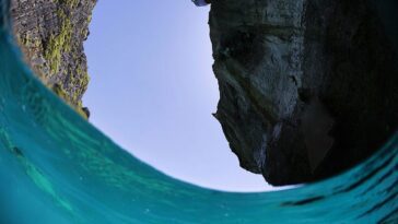 Près de 20 000 nouveaux volcans sous-marins découverts au fond de l'océan 12 Près de 20 000 nouveaux volcans sous-marins découverts au fond de l'océan