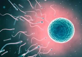 "Un robot injecte du sperme et deux bébés naissent" : ainsi commence la révolution de la naissance
