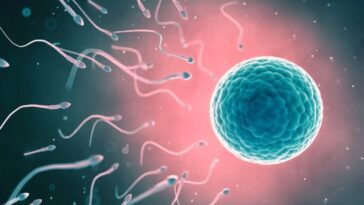 "Un robot injecte du sperme et deux bébés naissent" : ainsi commence la révolution de la naissance