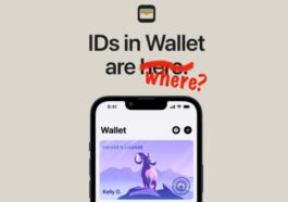 Voici où vous pouvez utiliser votre iPhone comme permis de conduire ou pièce d'identité numérique en 2023