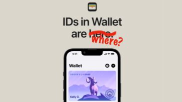 Voici où vous pouvez utiliser votre iPhone comme permis de conduire ou pièce d'identité numérique en 2023