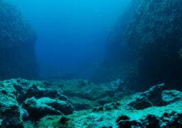 Satellite data used to unveil thousands of unknown underwater mountains