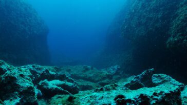 Données satellitaires utilisées pour dévoiler des milliers de montagnes sous-marines inconnues 19 Satellite data used to unveil thousands of unknown underwater mountains