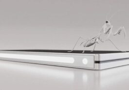 Nothing Fold (1) concept