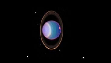 Présence possible d'océans sur quatre lunes d'Uranus : deux pourraient être habitables 18 Présence possible d'océans sur quatre lunes d'Uranus : deux pourraient être habitables