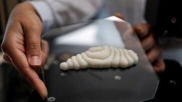 Pas seulement de la viande de culture : "Nous avons présenté des poissons imprimés en 3D qui semblent avoir été pêchés"