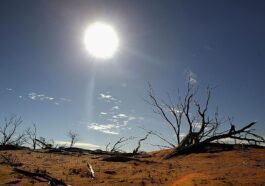 Près de la moitié de la Terre passera à une zone climatique d'ici la fin du siècle