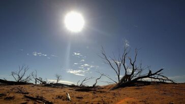 Près de la moitié de la Terre passera à une zone climatique d'ici la fin du siècle 9 Près de la moitié de la Terre passera à une zone climatique d'ici la fin du siècle