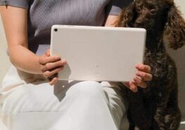 Les spécifications de la première tablette de Google émergent en ligne : elles pourraient détrôner l'iPad en termes de valeur