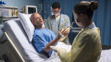 "C'est le plus avancé au monde": le robot patient équipé d'intelligence artificielle arrive à Trieste