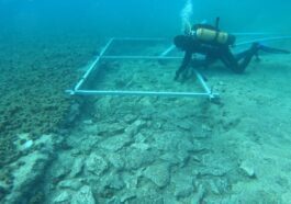 Merveilleuse route vieille de 7 000 ans découverte sur les fonds marins de la mer Adriatique : la vidéo