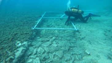 Merveilleuse route vieille de 7 000 ans découverte sur les fonds marins de la mer Adriatique : la vidéo 4 Merveilleuse route vieille de 7 000 ans découverte sur les fonds marins de la mer Adriatique : la vidéo