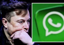 WhatsApp écoute secrètement vos conversations, révèle Elon Musk