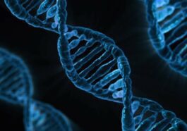 L'ADN humain est partout sur Terre : une aubaine pour la science mais un problème de confidentialité pour les gens
