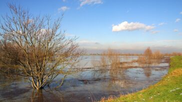 Que sont les bassins de stratification et pourquoi ils auraient pu sauver la Romagne des inondations 19 Que sont les bassins de stratification et pourquoi ils auraient pu sauver la Romagne des inondations