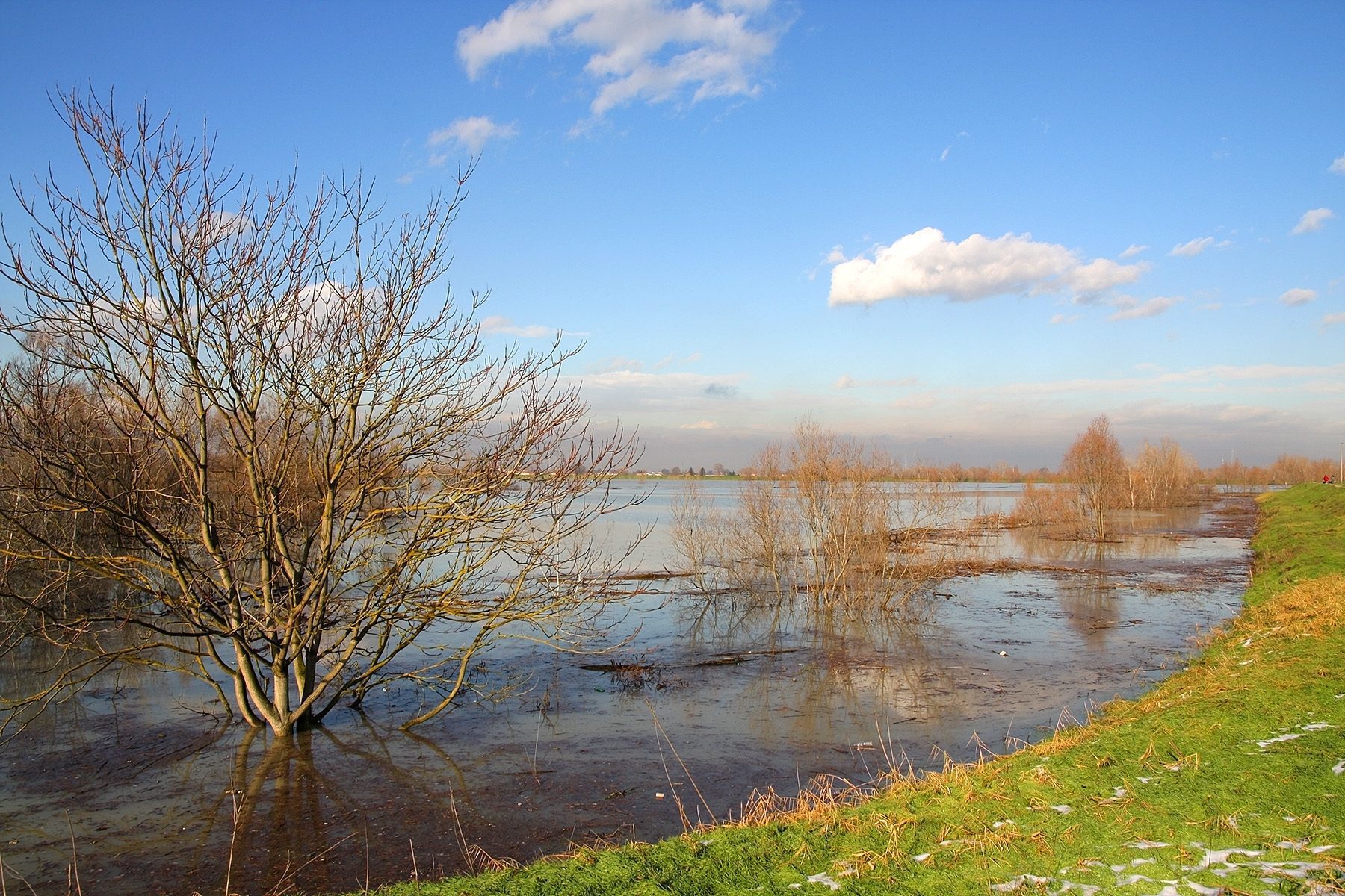Que sont les bassins de stratification et pourquoi ils auraient pu sauver la Romagne des inondations