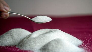 Un édulcorant populaire peut nous rendre un peu plus anxieux 10 Un édulcorant populaire peut nous rendre un peu plus anxieux