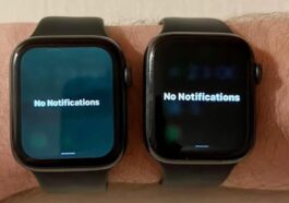 L'affichage de l'Apple Watch est affecté par un bogue de teinte d'affichage vert/gris après la mise à jour vers watchOS 9.5