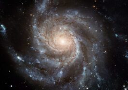 Une splendide supernova vient d'exploser dans la galaxie Pinwheel : comment la voir dans le ciel depuis chez soi