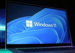 Windows 11
