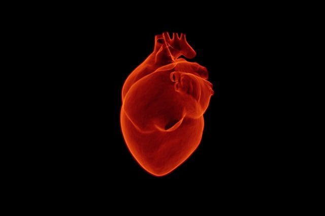 Les coupables d'un type de crise cardiaque affectant les jeunes femmes sont 16 génies 1 Les coupables d'un type de crise cardiaque affectant les jeunes femmes sont 16 génies