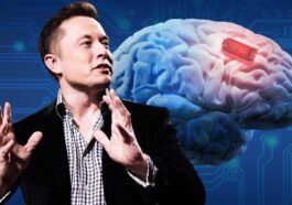 The FDA gives Elon Musk