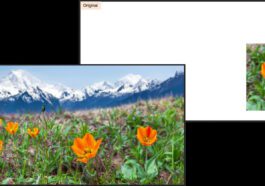 La génération d'images IA arrive dans Photoshop avec l'intégration native d'Adobe Firefly
