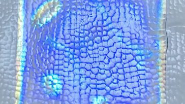 Le film de cellulose pourrait aider à refroidir les voitures et les maisons sans électricité 11 Cellulose film could help cool cars and homes without electricity