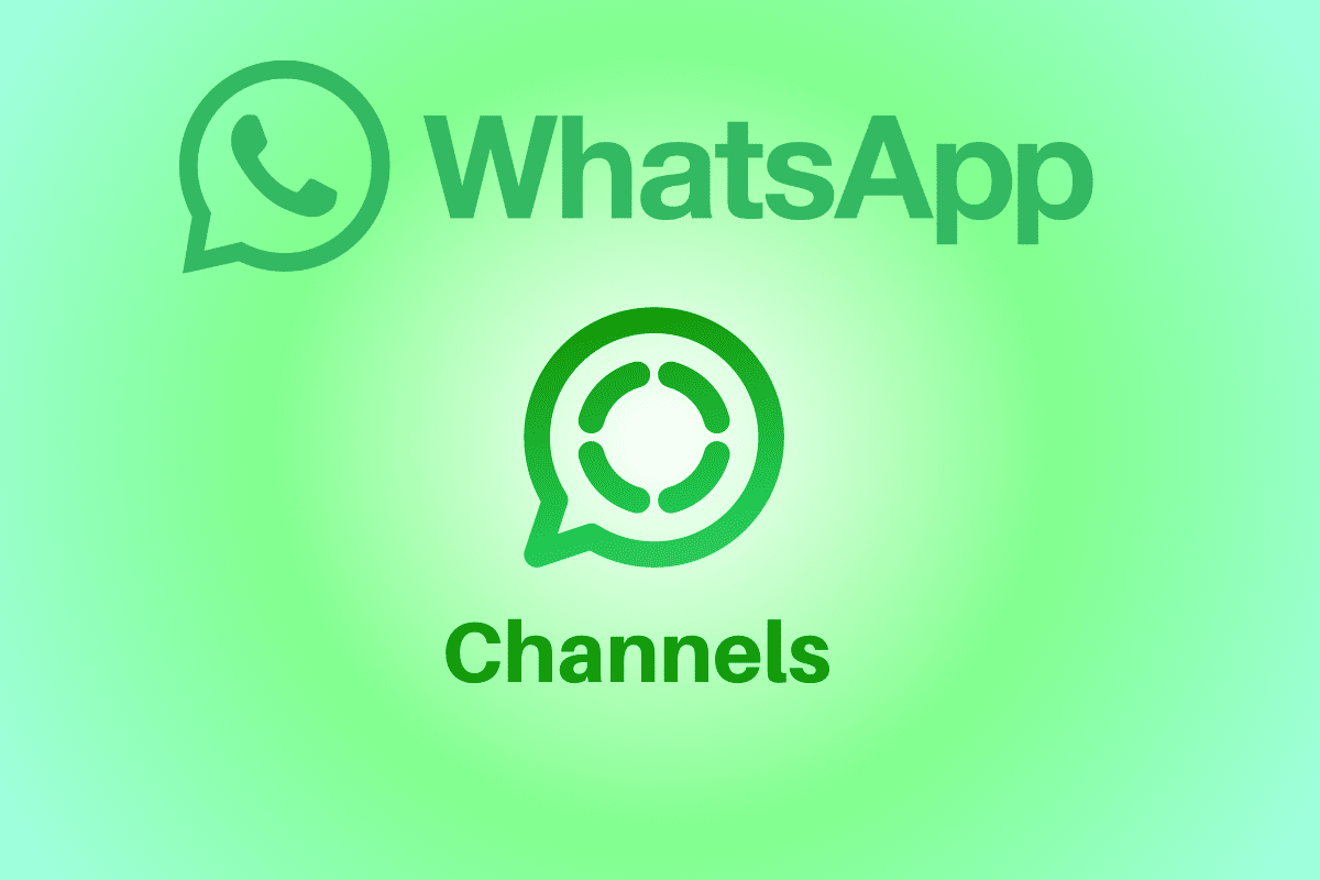 Soyez le premier à savoir : WhatsApp lance des alertes de mise à jour des chaînes