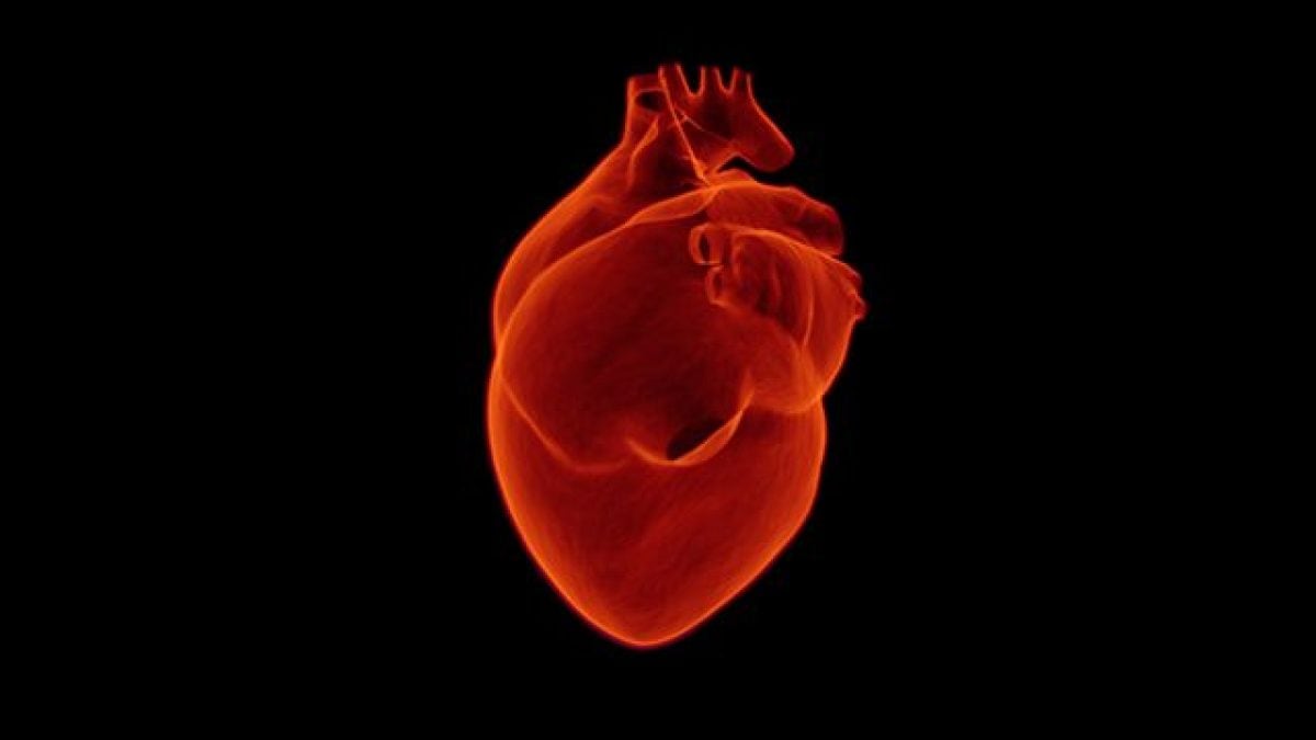 Les coupables d'un type de crise cardiaque affectant les jeunes femmes sont 16 génies 2 Les coupables dun type de crise cardiaque affectant les jeunes